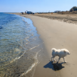 Kassianes - Spyros Beach, Meneou 3