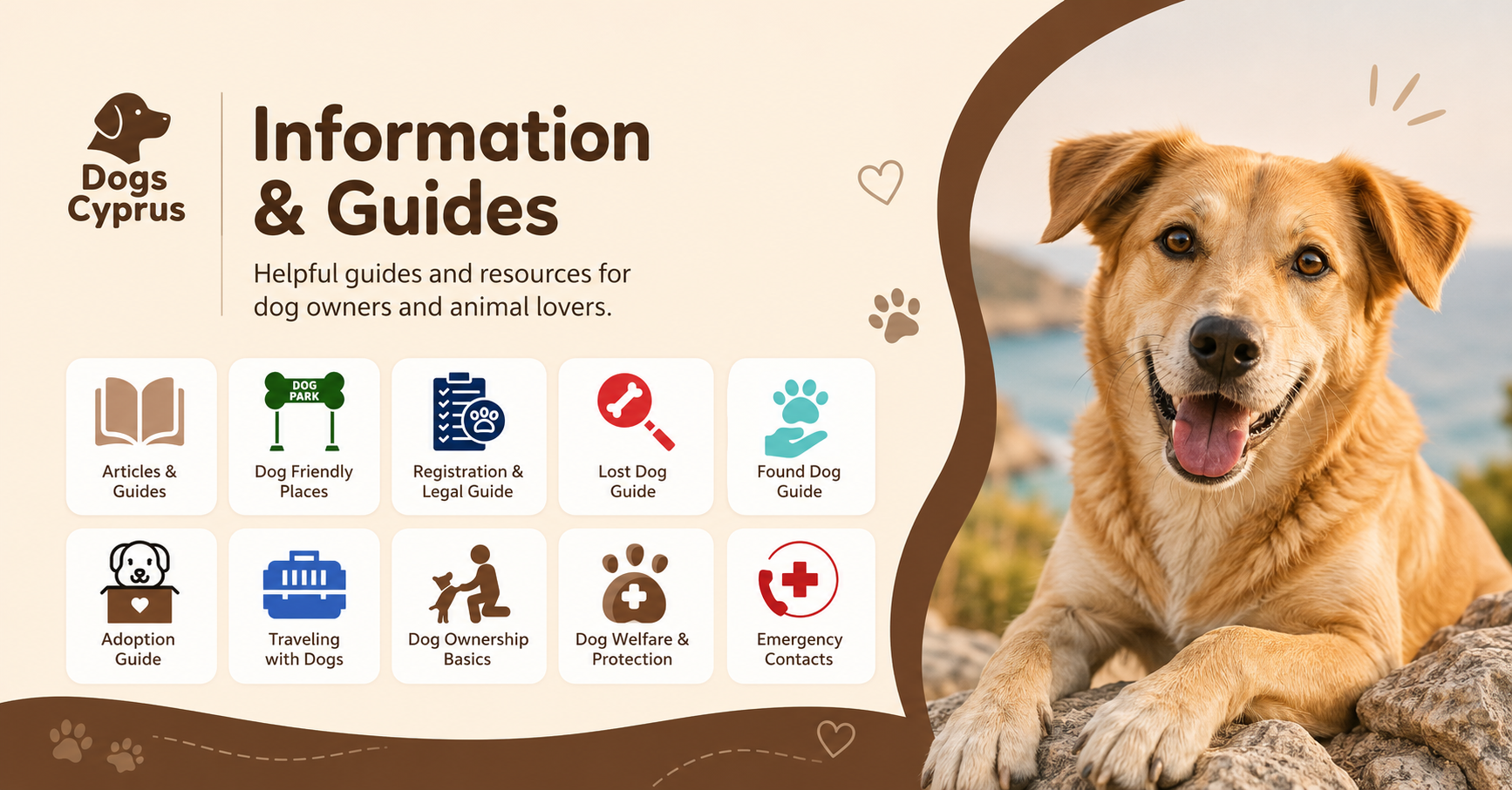 Dog Information & Guides in Cyprus | Dogs Cyprus