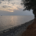Acheleia Dog Beach 1