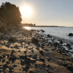 Acheleia Dog Beach 2