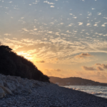 Steratzia Dog Beach 2