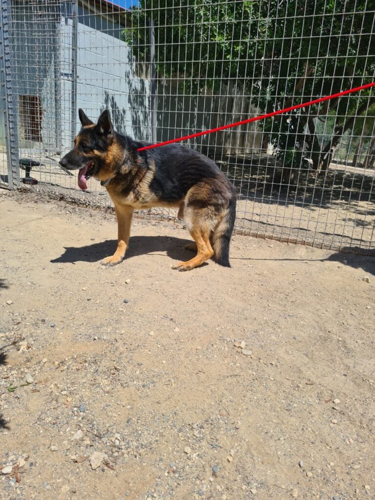 Max 3