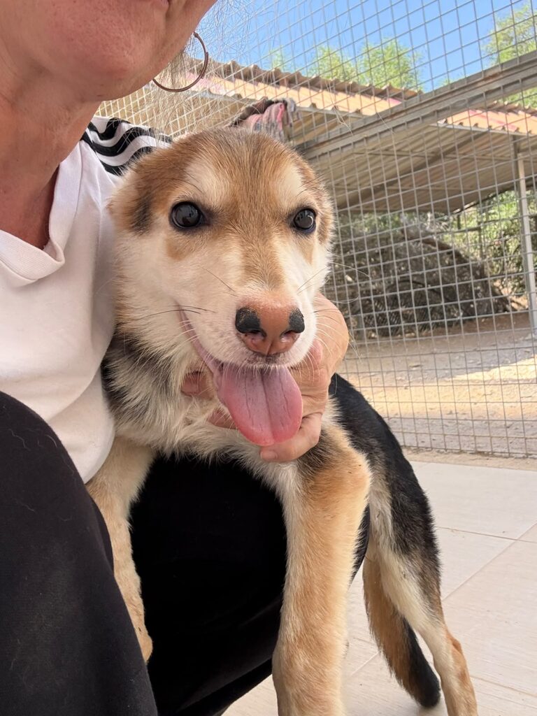 Momo at Argos Animal Sanctuary