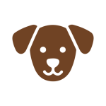 Dogs Available